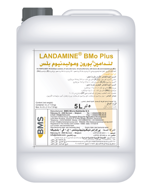 Landamine BMO (plus)