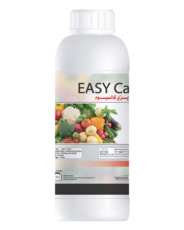 Easy Ca