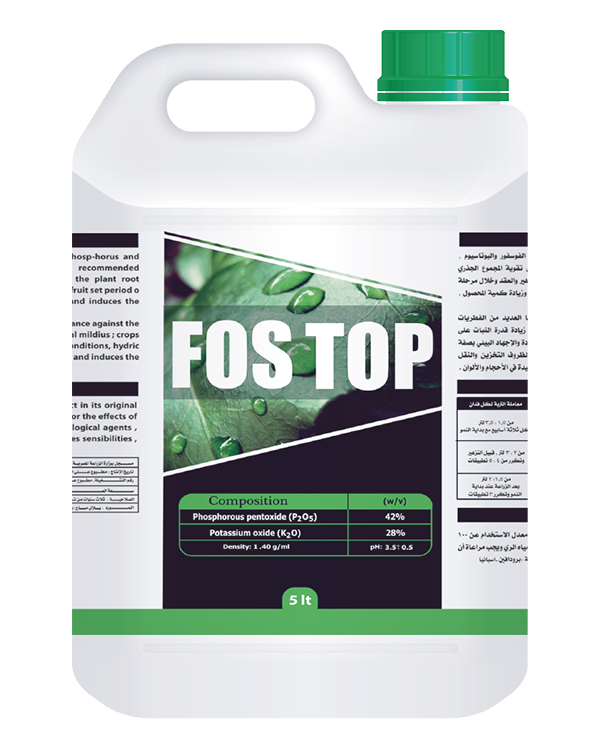 FOS TOP