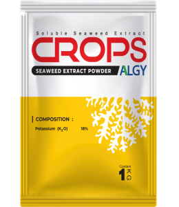 Crops-Algy