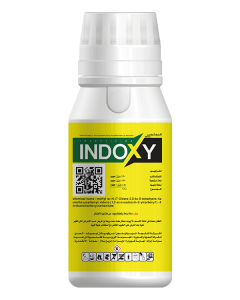 INDOXY