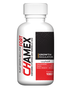 Chamex-Fort