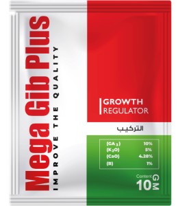 Mega-Gib-Plus