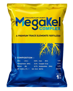 Mega-Kel-Complex