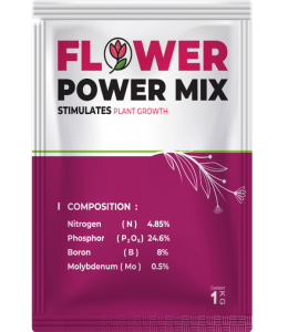 Flower-Power-Mix