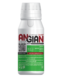 Angian