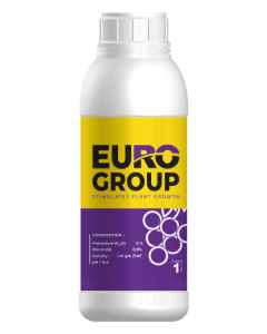 Euro-Group