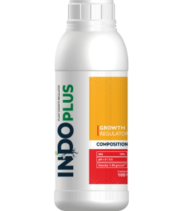 Indo-Plus (1)