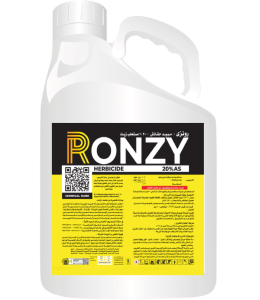 Ronzy