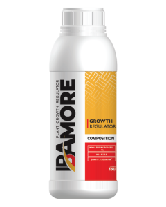 ibamore