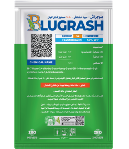 Blugrash
