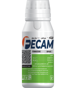 Fecam
