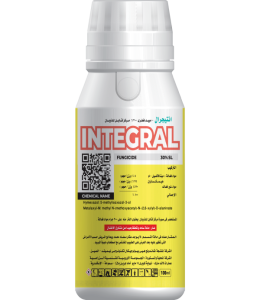 Integral