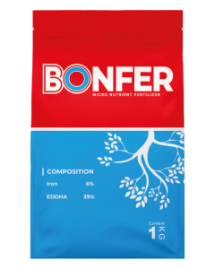 Bonfer