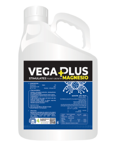 Vega-Plus-Magnesio