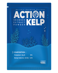 Action-Kelp