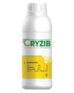 Cryzib