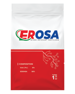 Erosa