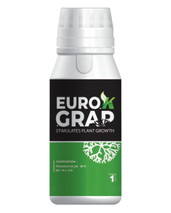 Eurok-Grap