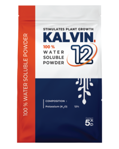 Kalvin-12