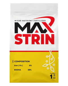 Max-Strin