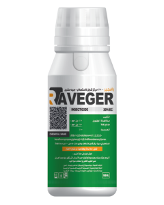 Raveger