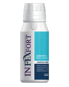infexfort